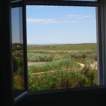 Chambre Les Flamants, Avec Vue Imprenable Sur Les Etangs, Les Oiseaux, La Nature, Petit Dejeuner Compris Saintes-Maries-de-la-Mer Eksteriør billede