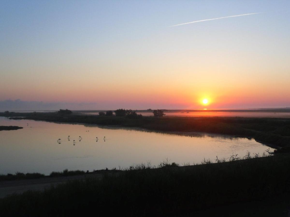Chambre Les Flamants, Avec Vue Imprenable Sur Les Etangs, Les Oiseaux, La Nature, Petit Dejeuner Compris Saintes-Maries-de-la-Mer Eksteriør billede